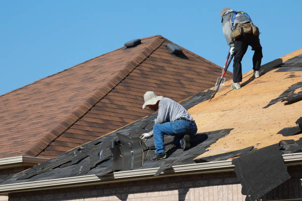 Best Tile Roofing Installation  in Homer, AK