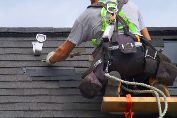 Best Roof Ventilation Installation  in Homer, AK