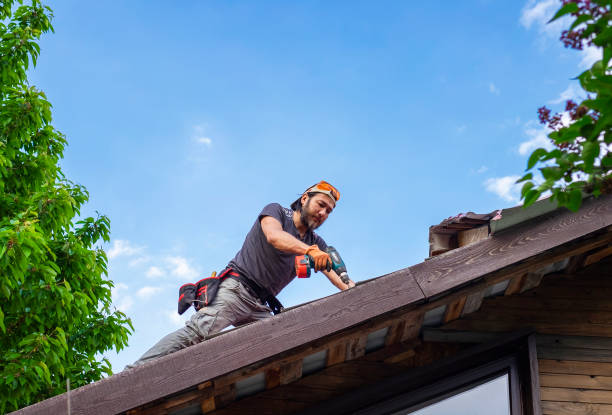 Best Chimney Flashing Repair  in Homer, AK