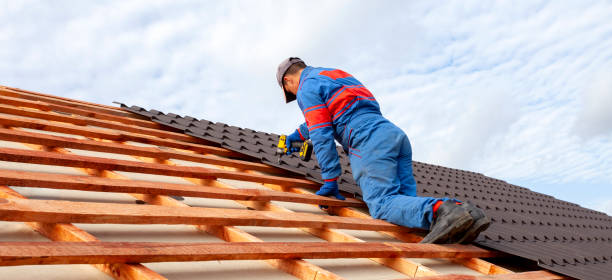 Best Sheet Metal Roofing  in Homer, AK