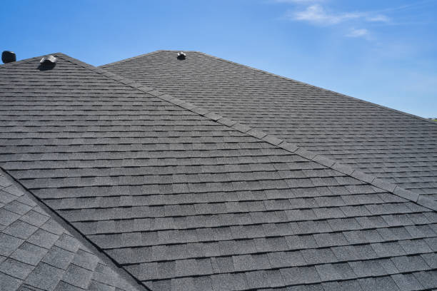 Best Roof Maintenance and Cleaning  in Homer, AK