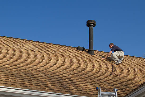 Best Roof Insulation Installation  in Homer, AK